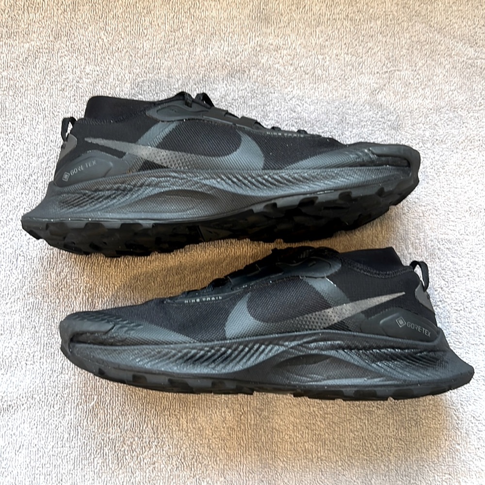 Nike Pegasus Trail 3 Gore-Tex  size 10